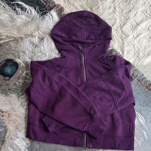 Dramatic Magenta Full Zip Scuba (XS/S)